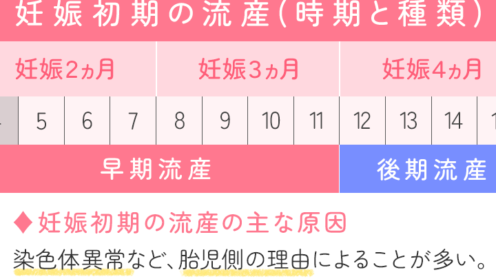 妊娠5週目は何ヶ月かとその特徴について