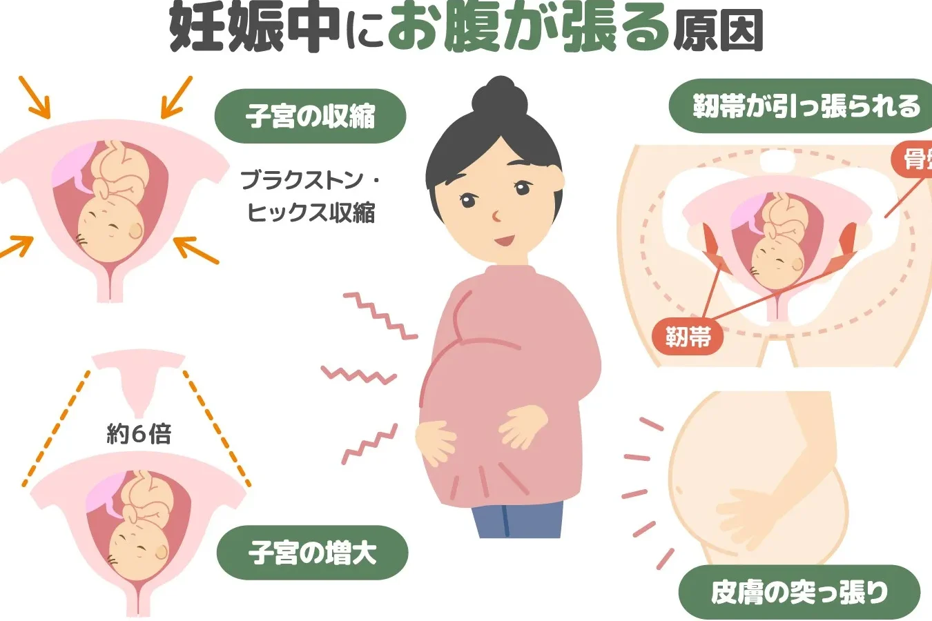 妊娠中の円靭帯痛はいつまで続くのか解説