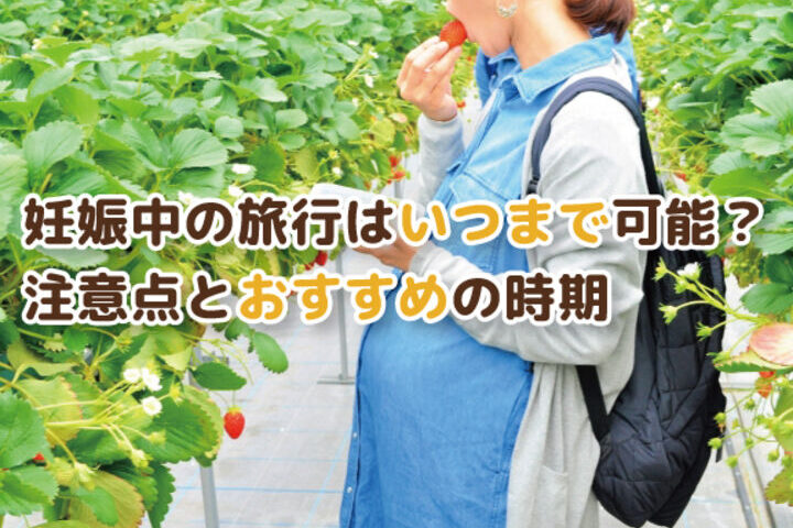 妊娠中の遠出はいつまで可能か解説します