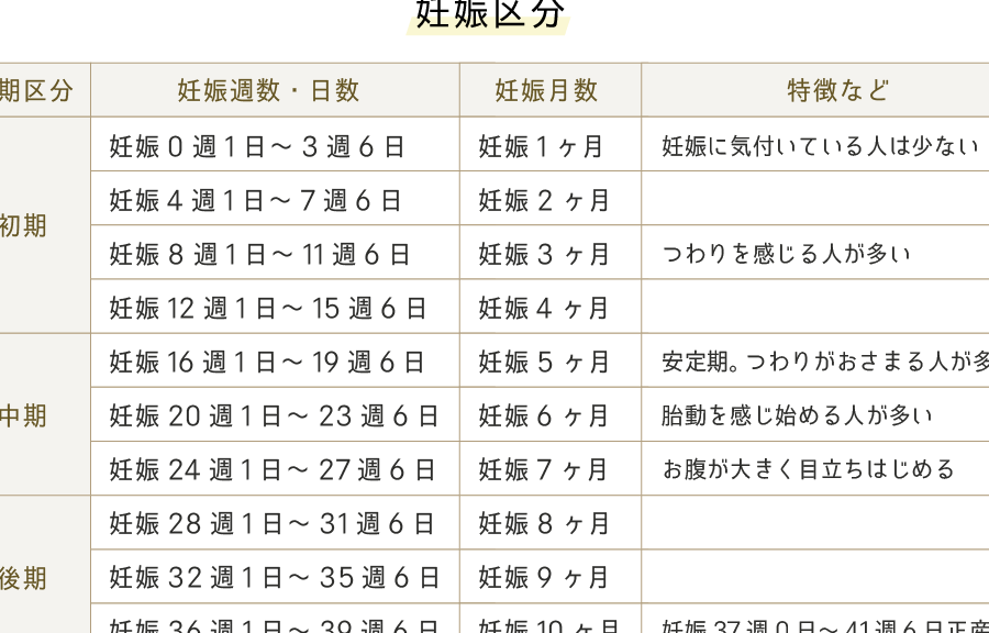 妊娠予定日確定はいつ？正しい計算方法と注意点