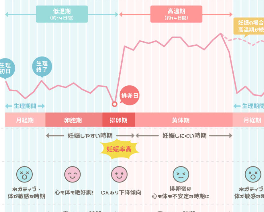 妊娠日 いつ？正しい妊娠日の特定方法と利点