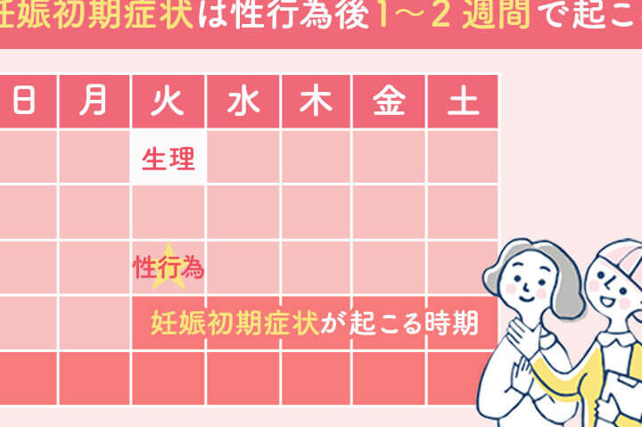 性行為何日後に妊娠検査薬を使うべきか解説